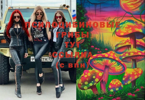 бошки Красноперекопск