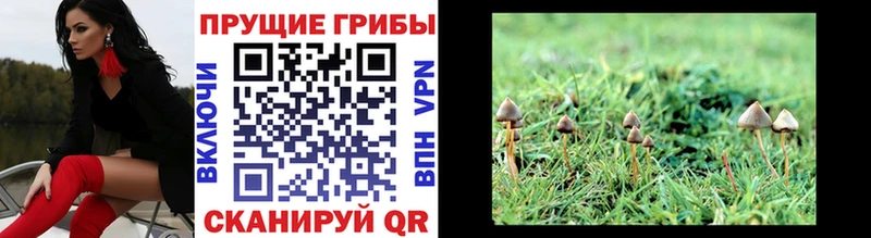 Псилоцибиновые грибы ЛСД  Магас 